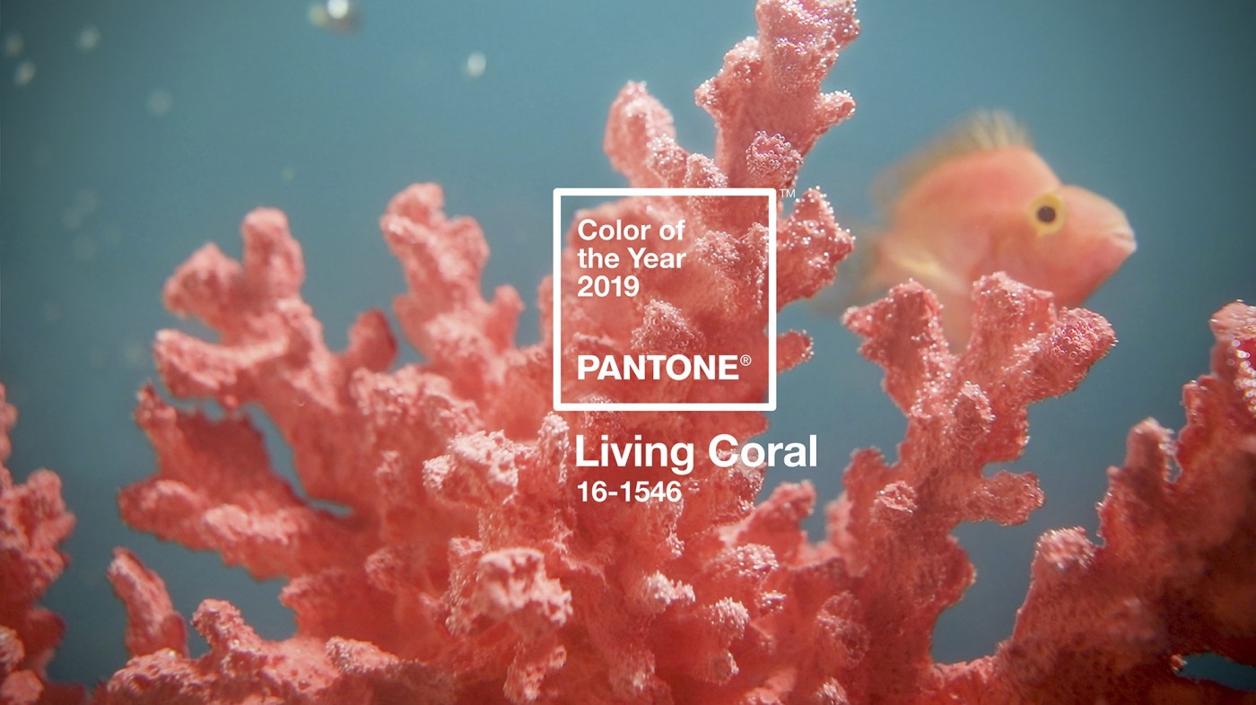 Pantone 公布 2019 年度代表色：PANTONE 16-1546 Living Coral 活珊瑚