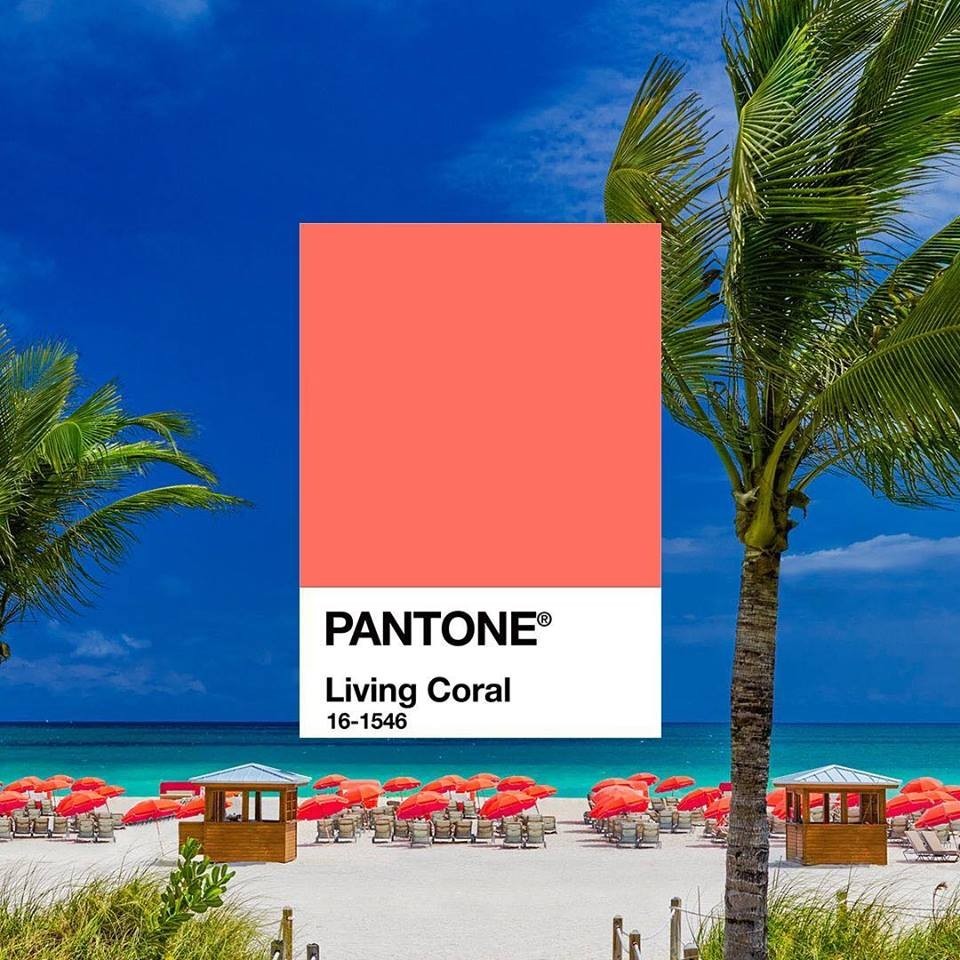 Pantone 公布 2019 年度代表色：PANTONE 16-1546 Living Coral 活珊瑚